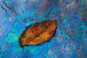 Leaf Electricity LE9280 Leaf Electricity LE9280