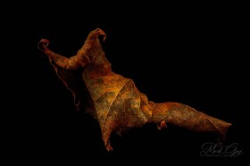 Leaf Creature No. 12 LE10567 Leaf Creature No. 12 LE10567