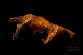 Leaf Creature No. 23 LE10578 Leaf Creature No. 23 LE10578