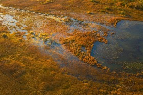 Prairie Fen at Davis Lake AR10189