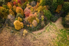 Nature Preserve Aerial in Autumn AV10209 Nature Preserve Aerial in Autumn AV10209