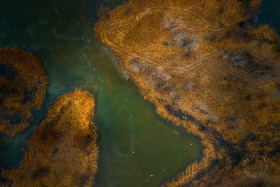 Frozen wetland shapes AV10236 Frozen wetland shapes AV10236