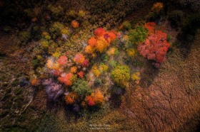 Autumn Wetlands AV10345