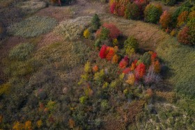 Nature Preserve Autumn Color AV10478
