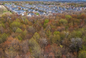 The Preserves AV10799 The Preserves AV10799