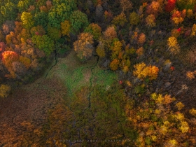 Riparian habitat transition at Plum Brook Nature Preserve in Autumn AV10913