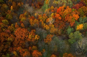 Autumn Aerial view from hot air balloon FC1985 Autumn Aerial view from hot air balloon FC1985