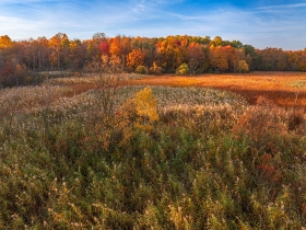 Sterling Heights Nature Preserve in Autumn AV10992 Sterling Heights Nature Preserve in Autumn AV10992