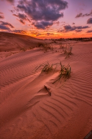 Dune Grass Sunset on Lake Michigan SL10659