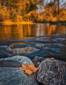 Golden Light on Clinton River FC10033 Golden Light on Clinton River FC10033