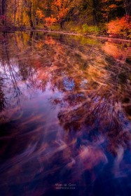 Autumn Windy Pond FC10346