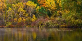 Michigan Autumn Panoramic FC10506