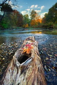 Clinton River in fall color FC9238 Clinton River in fall color FC9238