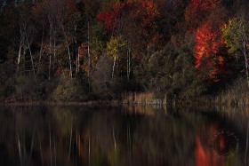 Peaceful Fall Pond FC9962 Peaceful Fall Pond FC9962