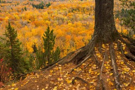 Sturgeon River Gorge Wilderness FC9991 Sturgeon River Gorge Wilderness FC9991