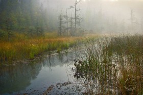 Shiawasse River in fog LA8631 Shiawasse River in fog LA8631