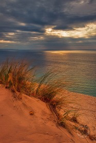 Sleeping Bear Dune Grass SL10423