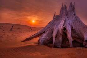 Dunescape Sunrise SL10544