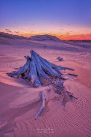 Silver Lake Dunescape SL10551