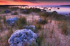 Bush Bay boulders SL9259 Bush Bay boulders SL9259