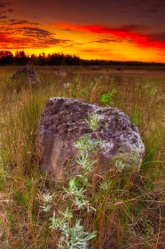 Great Lakes Limestone Boulder at sunrise SL9297