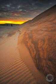Dune Patterns at Dawn SL9670