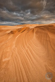 Lines of Silver Lake Dunes SL9843
