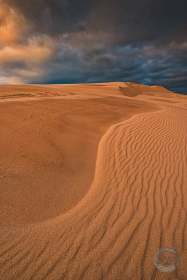 Evening light on Silver Lake Dunes SL9844