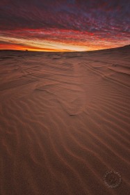 Dunes at Dawn SL9865 Dunes at Dawn SL9865