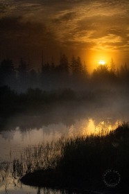 Fog and peaceful pond at dawn SU8265