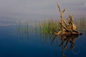 Silent Seney Pond WA10057