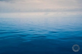 Tranquil morning on Lake St. Clair WA9750