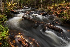 Ontonagon river cascade at Bond Falls WA9979 Ontonagon river cascade at Bond Falls WA9979