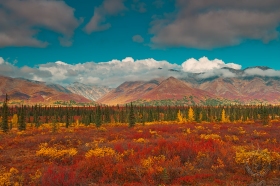 Denali Autumn Color LA9085 Denali Autumn Color LA9085