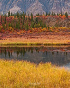 Cantwell Fall Color pond FC9720 Cantwell Fall Color pond FC9720