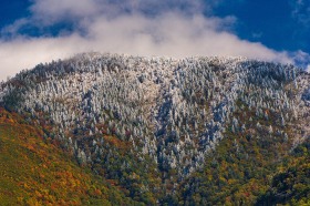 Mount LeConte with Fall Snow LA8979 Mount LeConte with Fall Snow LA8979