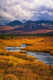 Alaska Autumn in Cantwell LA9087 Alaska Autumn in Cantwell LA9087