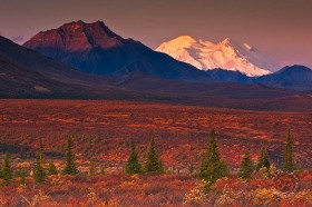 Mount Denali LA9093
