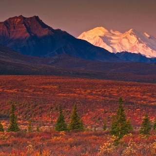 Mount Denali LA9093 Mount Denali LA9093