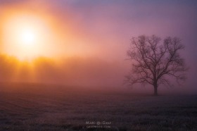 Cades Cove Morning SU10382 Cades Cove Morning SU10382
