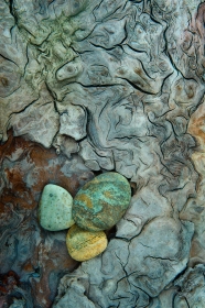 Beach Rocks and weathered driftwood Beach Rocks and weathered driftwood