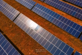 Solar Plant Array SO10459 Solar Plant Array SO10459