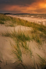 Beach Grass along Lake Michigan SL10664 Beach Grass along Lake Michigan SL10664