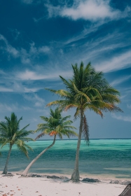 Retro Tropical Island View SL10696 Retro Tropical Island View SL10696