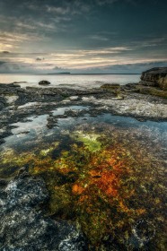 Georgian Bay shoreline pools SL10229 Georgian Bay shoreline pools SL10229