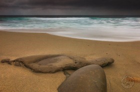La Jolla Beach rocks SL7618