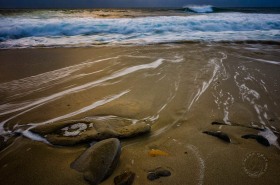 California surf SL7774