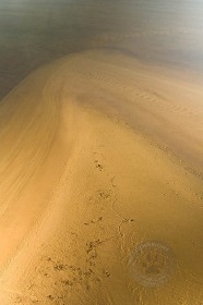 Sand, Water, & Time II SL8577