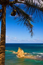 Dominica Overlook SL9148