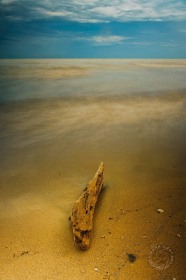 Lake Erie Driftwood I SL9248 Lake Erie Driftwood I SL9248
